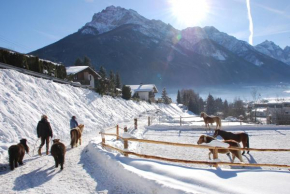 Kassnhof - der Reit- und Ponybauernhof, Telfes Im Stubai, Österreich